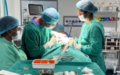 General Anaesthesia (GA) in Paediatric Dentistry: A Parent’s Guide